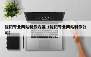广元沈阳专业网站制作方案（沈阳专业网站制作公司）